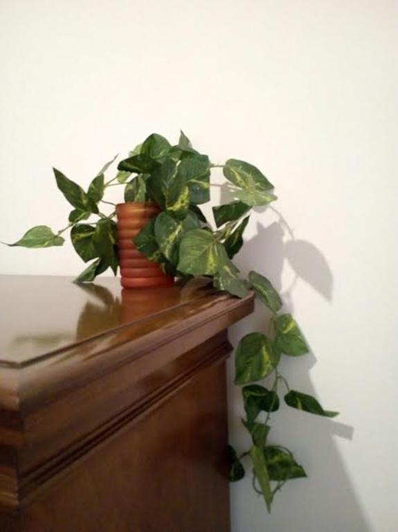 Casa Vacanze Demetra Appartement Bagheria Buitenkant foto